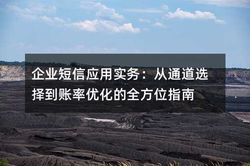 企业短信应用实务:从通道选择到账率优化的全方位指南