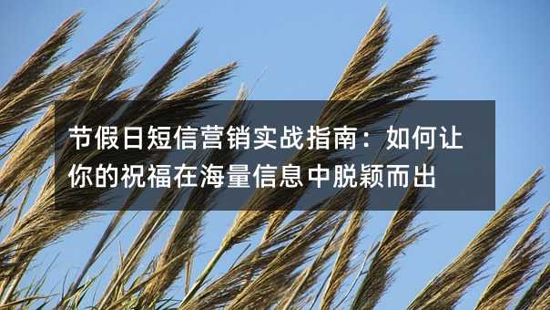 �ڼ��ն���Ӫ��ʵսָ�ϣ���������ף���ں�����Ϣ����ӱ����
