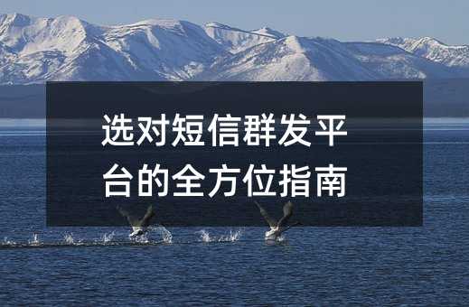选对短信群发平台的全方位指南