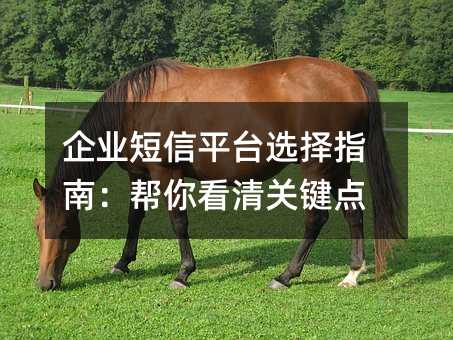 企业短信平台选择指南:帮你看清关键点