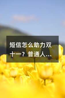 ������ô����˫ʮһ����ͨ��Ҳ����ת���ƹ㼼��