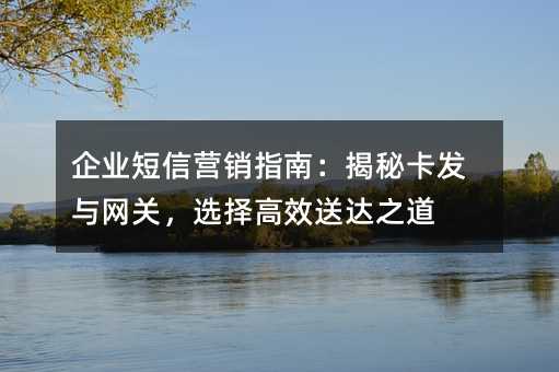 企业短信营销指南:揭秘卡发与网关,选择高效送达之道