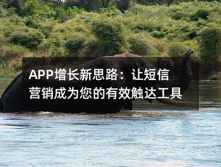 APP增长新思路:让短信营销成为您的有效触达工具