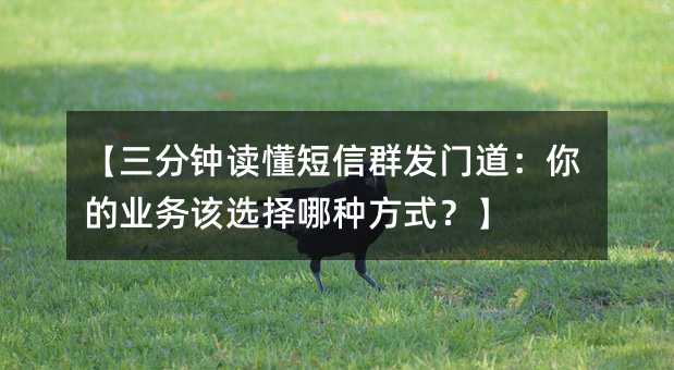 【三分钟读懂短信群发门道:你的业务该选择哪种方式?】