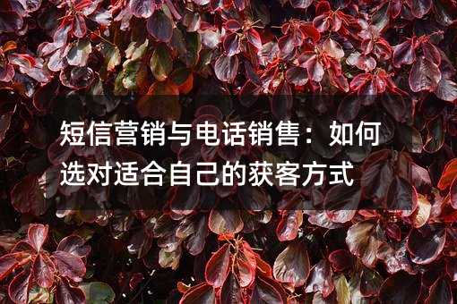 短信营销与电话销售:如何选对适合自己的获客方式