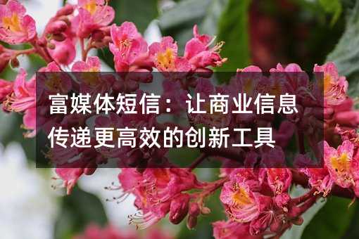 富媒体短信:让商业信息传递更高效的创新工具