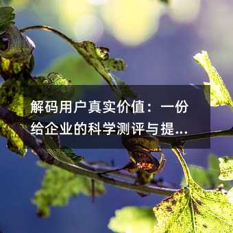 解码用户真实价值:一份给企业的科学测评与提升指南