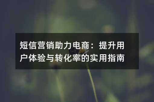 短信营销助力电商:提升用户体验与转化率的实用指南