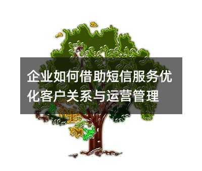企业如何借助短信服务优化客户关系与运营管理