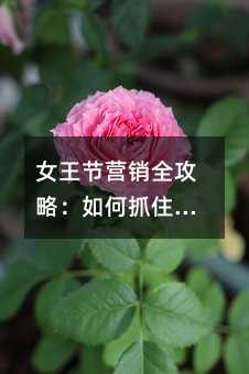 Ů����Ӫ��ȫ���ԣ����ץס�������á��������̻�