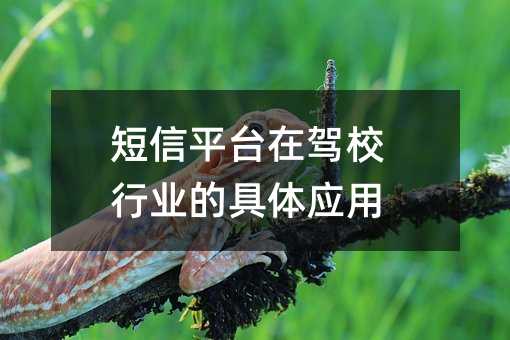 短信平台在驾校行业的具体应用