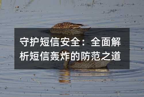 守护短信安全:全面解析短信轰炸的防范之道