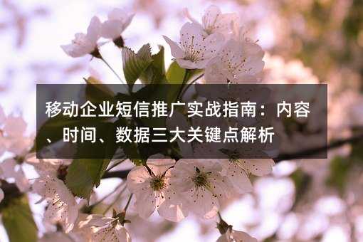 移动企业短信推广实战指南:内容、时间、数据三大关键点解析