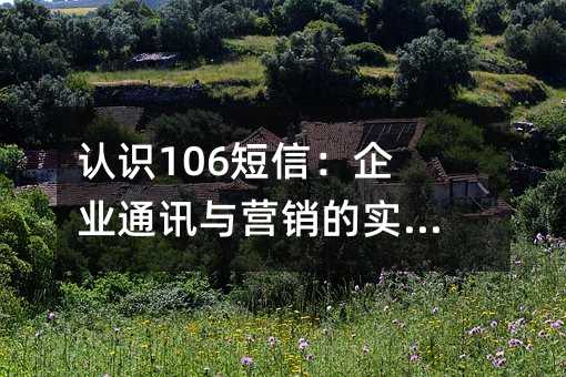 ��ʶ106���ţ���ҵͨѶ��Ӫ����ʵ��ָ��