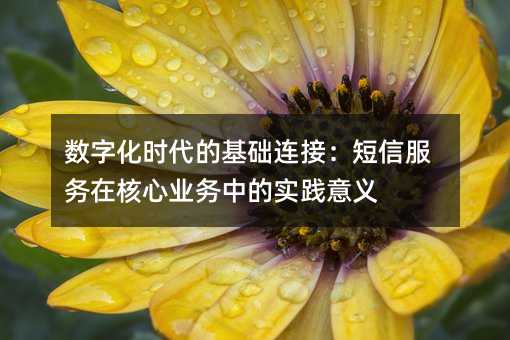 ���ֻ�ʱ���Ļ������ӣ����ŷ����ں���ҵ���е�ʵ������