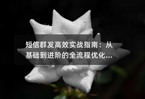 短信群发高效实战指南:从基础到进阶的全流程优化技巧
