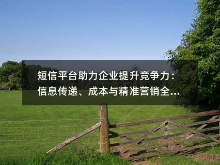 短信平台助力企业提升竞争力:信息传递、成本与精准营销全解析