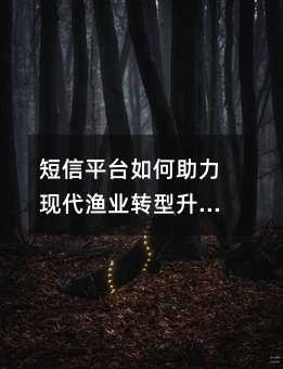 ����ƽ̨��������ִ���ҵת������������ؿ���ʵ��ָ��