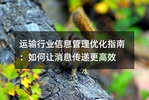 运输行业信息管理优化指南:如何让消息传递更高效