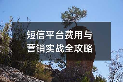 短信平台费用与营销实战全攻略
