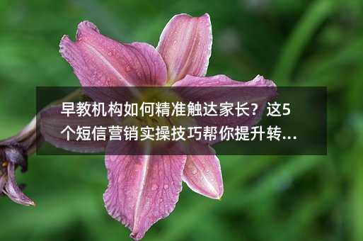 ��̻�����ξ�׼����ҳ�����5������Ӫ��ʵ�ټ��ɰ�������ת����