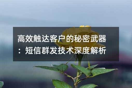 高效触达客户的秘密武器:短信群发技术深度解析