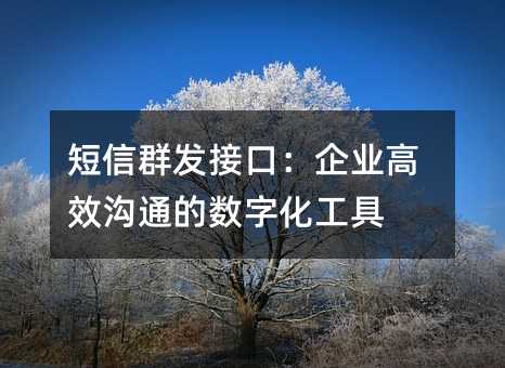 短信群发接口:企业高效沟通的数字化工具