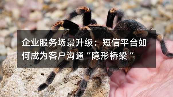 企业服务场景升级:短信平台如何成为客户沟通“隐形桥梁“