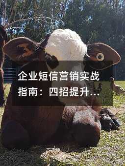 企业短信营销实战指南:四招提升触达效果