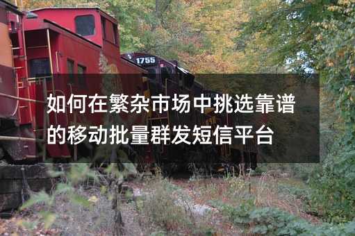 如何在繁杂市场中挑选靠谱的移动批量群发短信平台