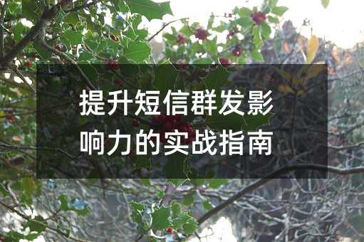 提升短信群发影响力的实战指南