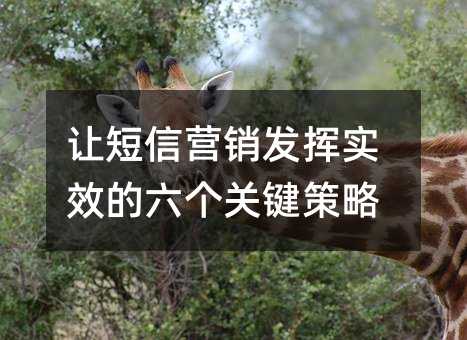 �ö���Ӫ������ʵЧ�������ؼ�����