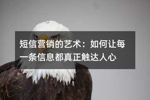 短信营销的艺术:如何让每一条信息都真正触达人心