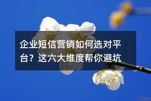 企业短信营销如何选对平台?这六大维度帮你避坑