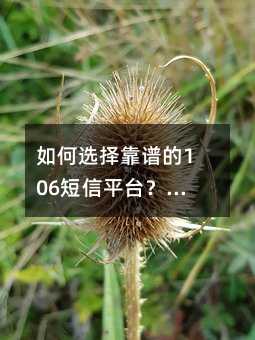 ���ѡ���׵�106����ƽ̨����ݱܿ�ָ�����պ�