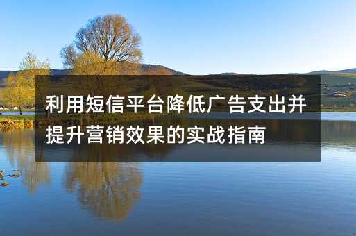利用短信平台降低广告支出并提升营销效果的实战指南