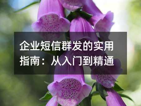 ��ҵ����Ⱥ����ʵ��ָ�ϣ������ŵ���ͨ