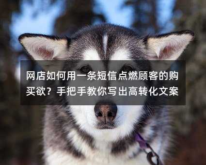 ���������һ�����ŵ�ȼ�˿͵Ĺ��������ְ��ֽ���д����ת���İ�