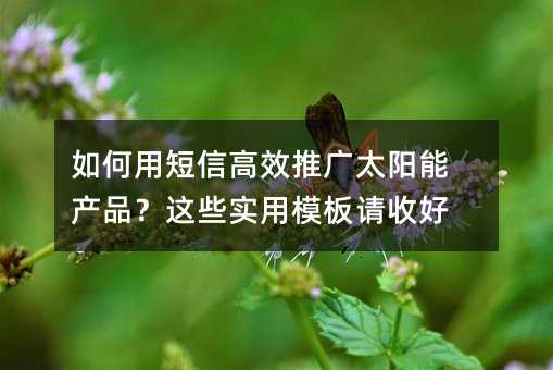 如何用短信高效推广太阳能产品?这些实用模板请收好