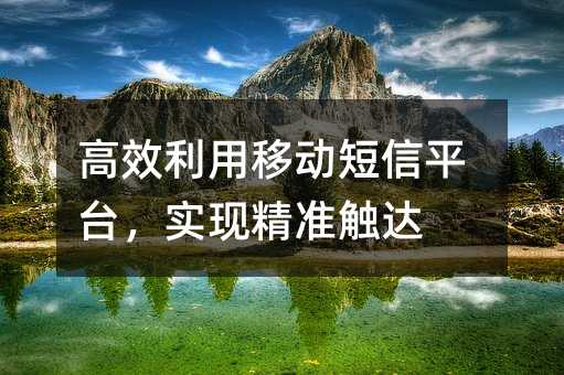 高效利用移动短信平台,实现精准触达