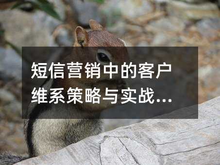 ����Ӫ���еĿͻ�άϵ������ʵս����
