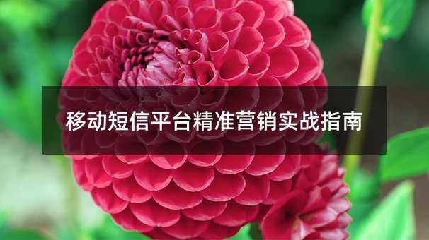移动短信平台精准营销实战指南