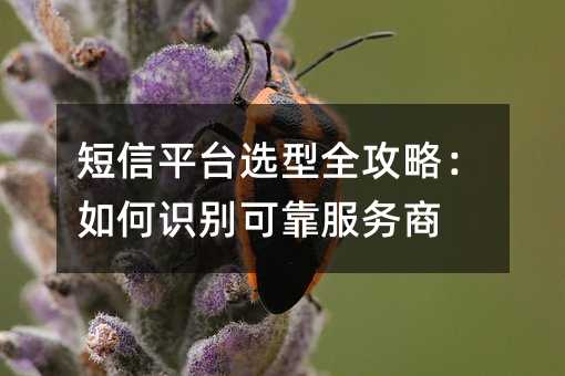 短信平台选型全攻略:如何识别可靠服务商