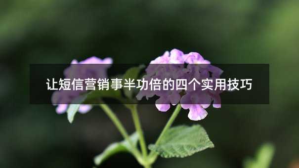 �ö���Ӫ���°빦�����ĸ�ʵ�ü���