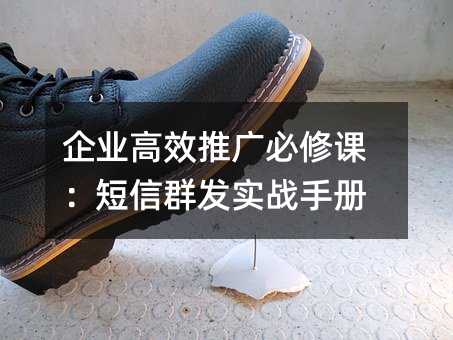 企业高效推广必修课:短信群发实战手册