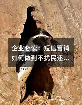 企业必读:短信营销如何做到不扰民还出效果