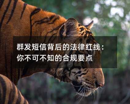 群发短信背后的法律红线:你不可不知的合规要点