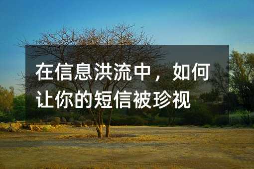 在信息洪流中,如何让你的短信被珍视