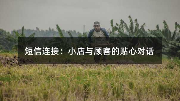 短信连接:小店与顾客的贴心对话