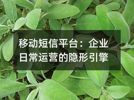 �ƶ�����ƽ̨����ҵ�ճ���Ӫ����������